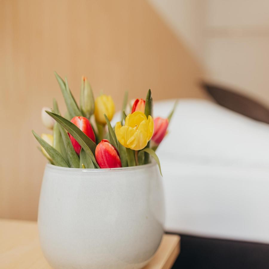 Hotel Gutsschaenke Holsterfeld Salzbergen Zewnętrze zdjęcie